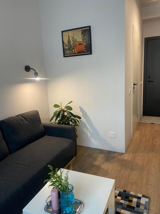 Lovekaunas Apartments מראה חיצוני תמונה